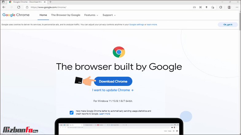 Google Chrome google-chrome